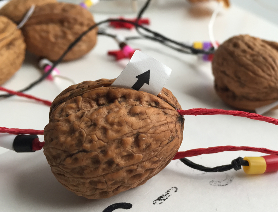 edelweiss – Merchandise